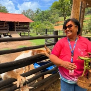 Excursão  Miguel Pereira + Rancho dos Quindins – Paty de Alferes