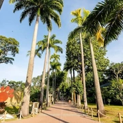 Excursão BioParque (zoológico) + AquaRio + Tuor Zona Portuária RJ