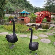 Excursão Friburgo - RJ